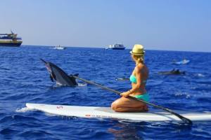 10858585_10203548807786719_6871055902119731758_n